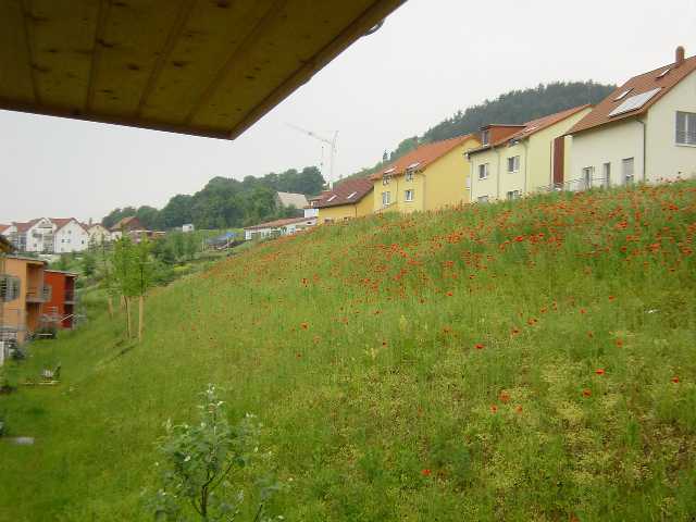 Blick vom hinteren Balkon