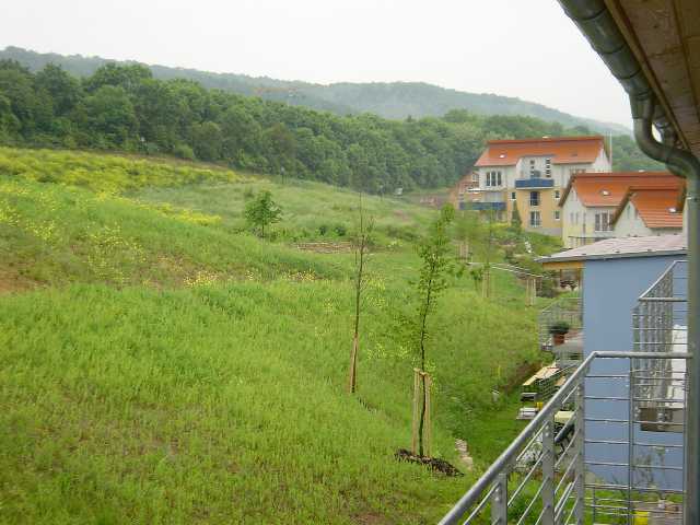 Blick vom hinteren Balkon