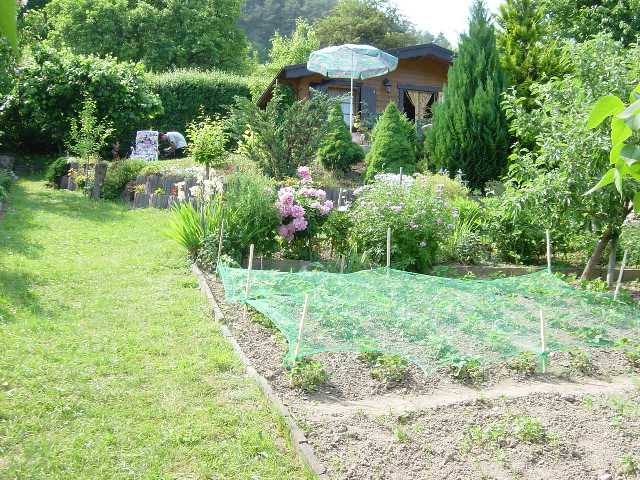 unsere Gartenlaube